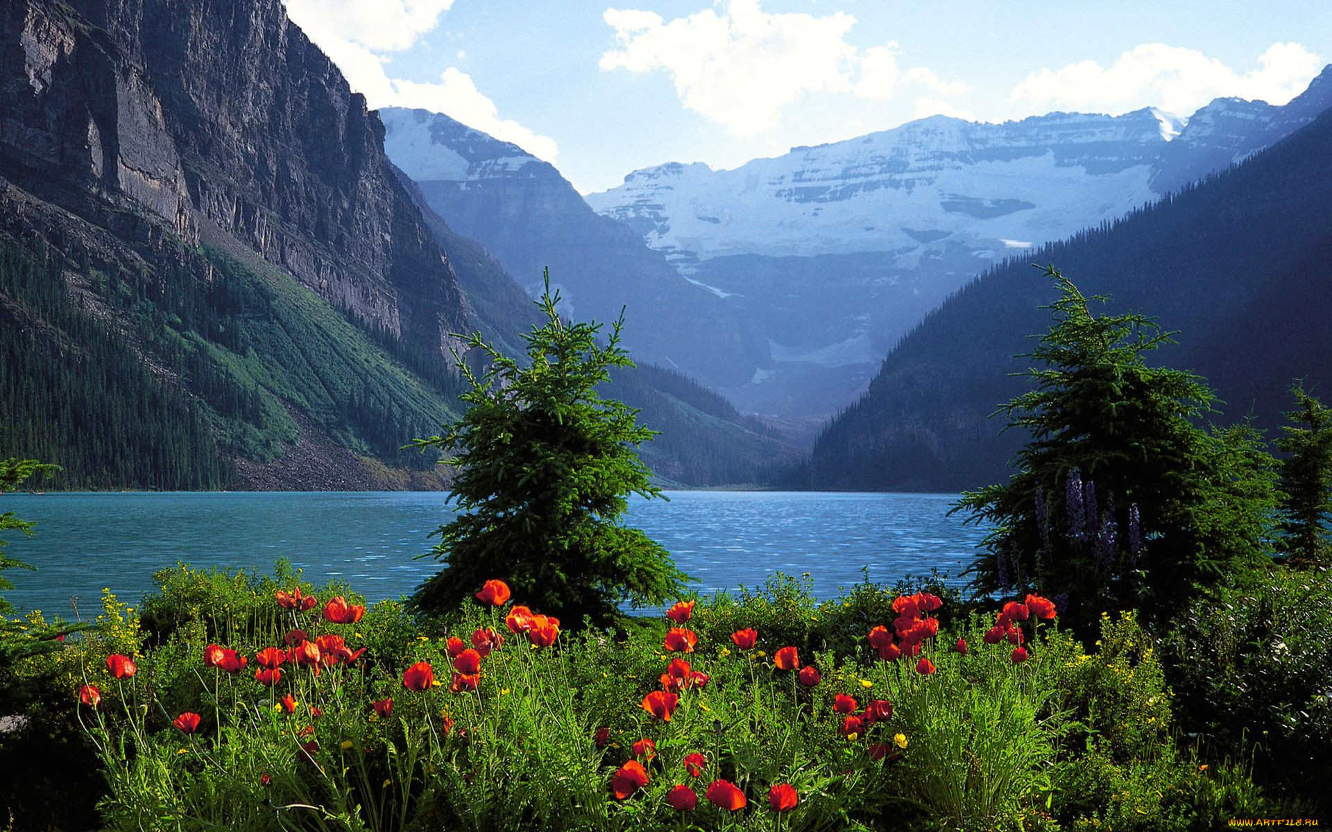 Красивые виды озера. Цветы Канады Банф. Мультинские озера. Швейцария манзаралари.